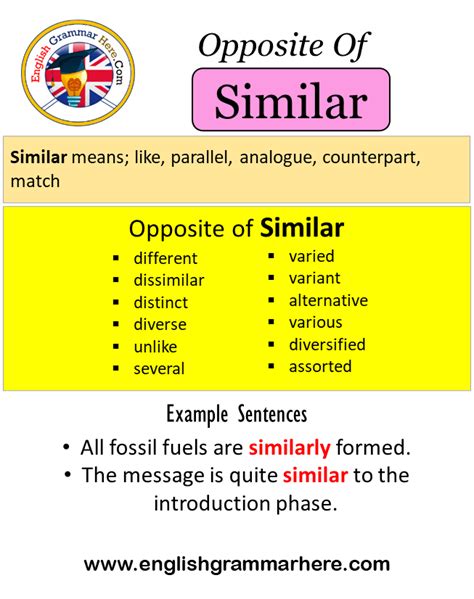 MICROMANAGING Synonyms: 46 Similar and Opposite Words